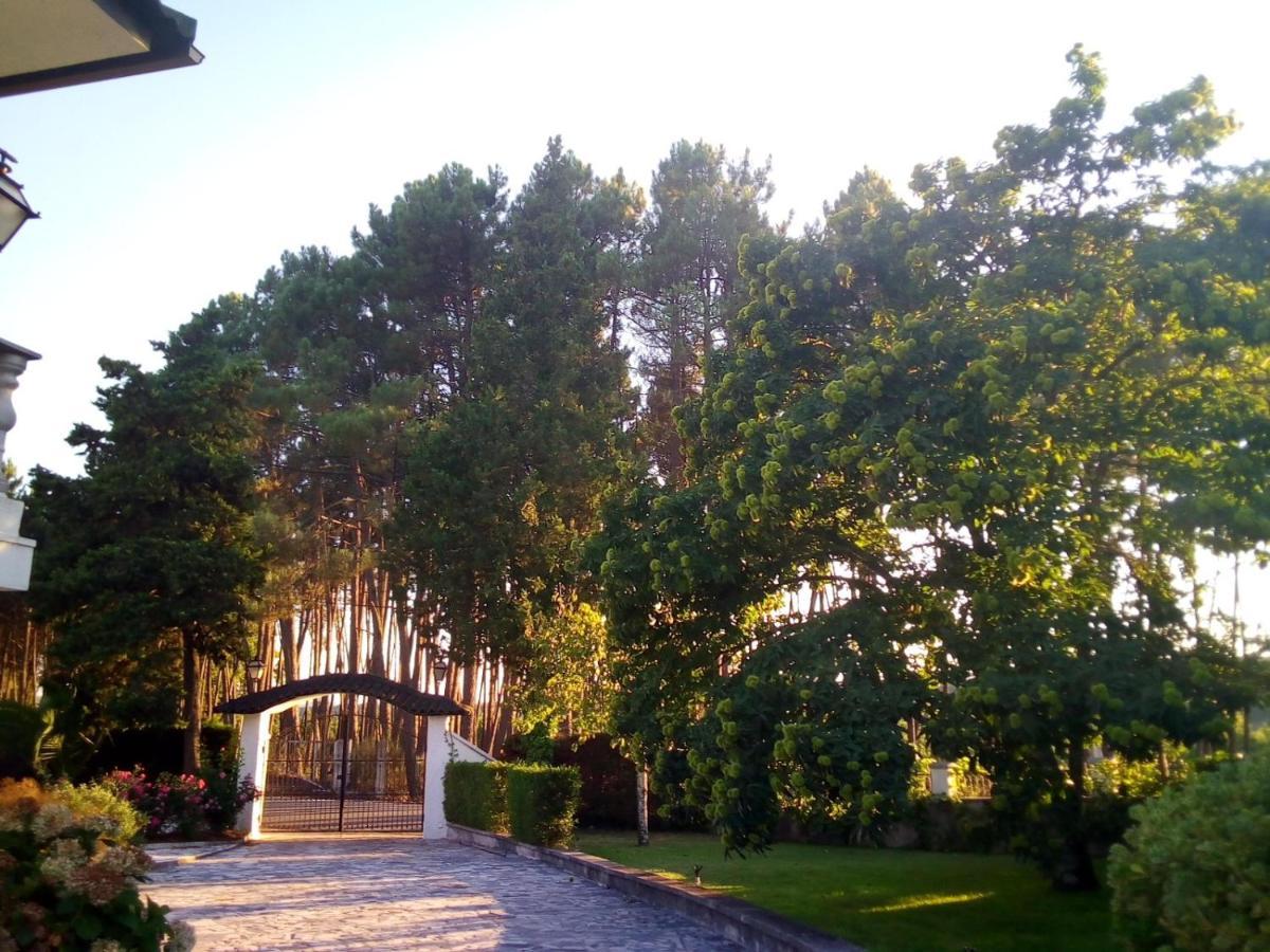 Вилла Pinheirinhos - Quinta De Sao Caetano Carapito Экстерьер фото