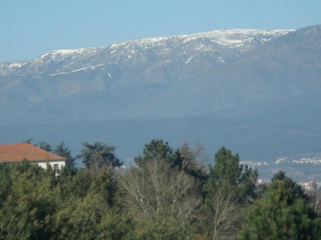 Вилла Pinheirinhos - Quinta De Sao Caetano Carapito Экстерьер фото