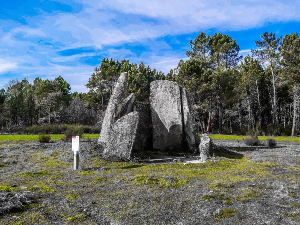 Вилла Pinheirinhos - Quinta De Sao Caetano Carapito Экстерьер фото