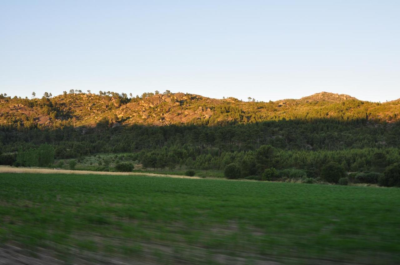 Вилла Pinheirinhos - Quinta De Sao Caetano Carapito Экстерьер фото