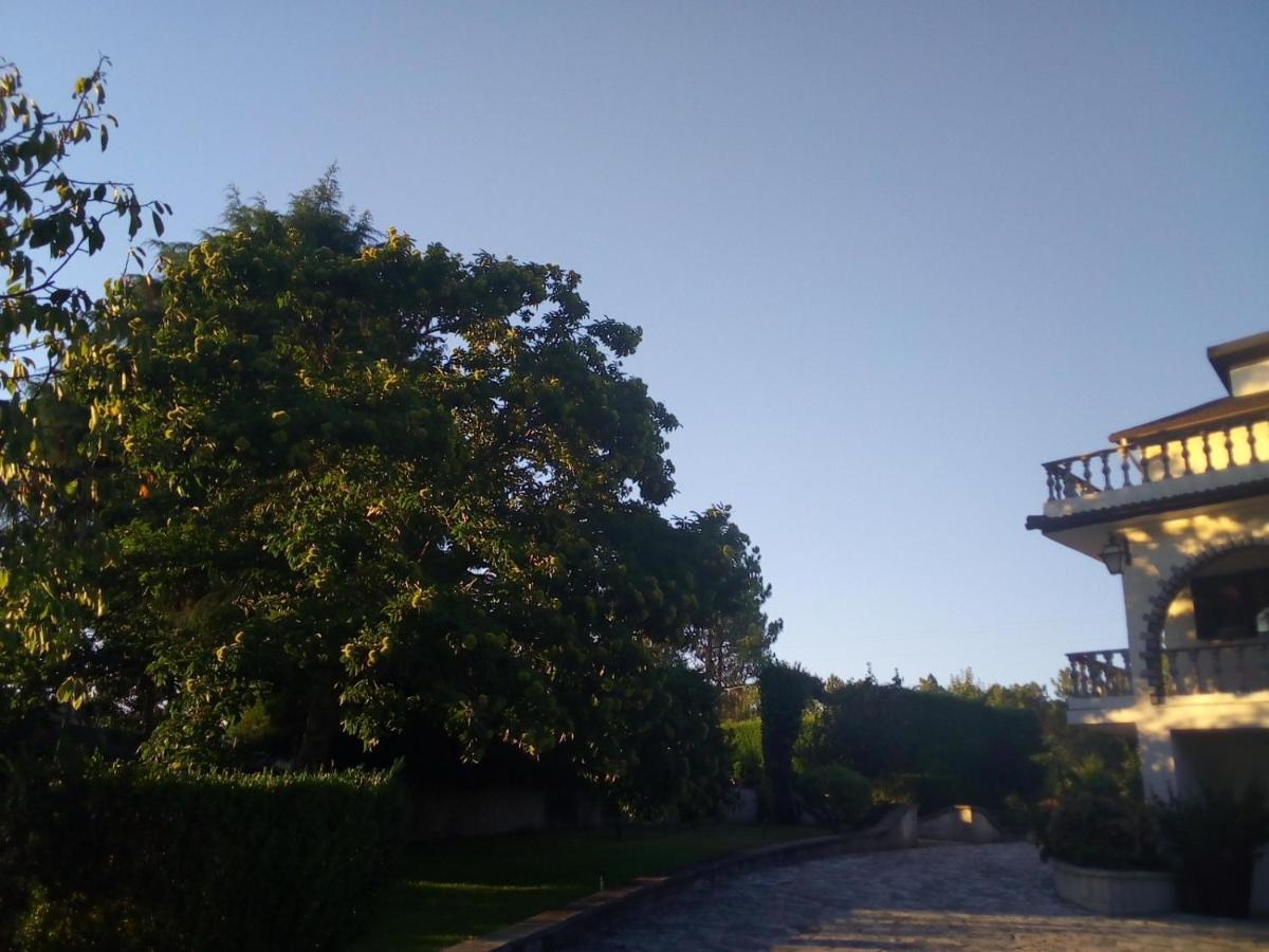 Вилла Pinheirinhos - Quinta De Sao Caetano Carapito Экстерьер фото